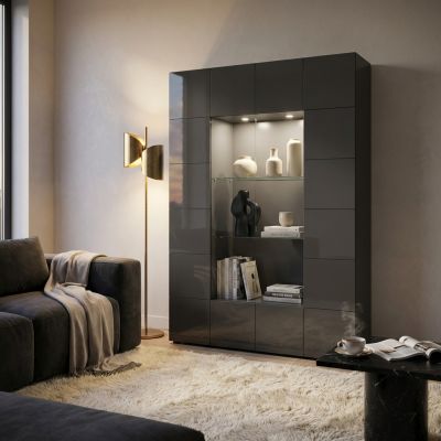 DOMO - vetrina moderna con 2 ante
