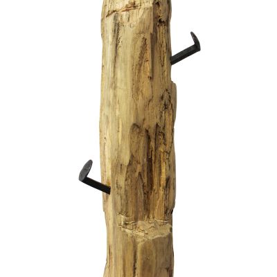 TOPIC - appendiabiti in legno di teak