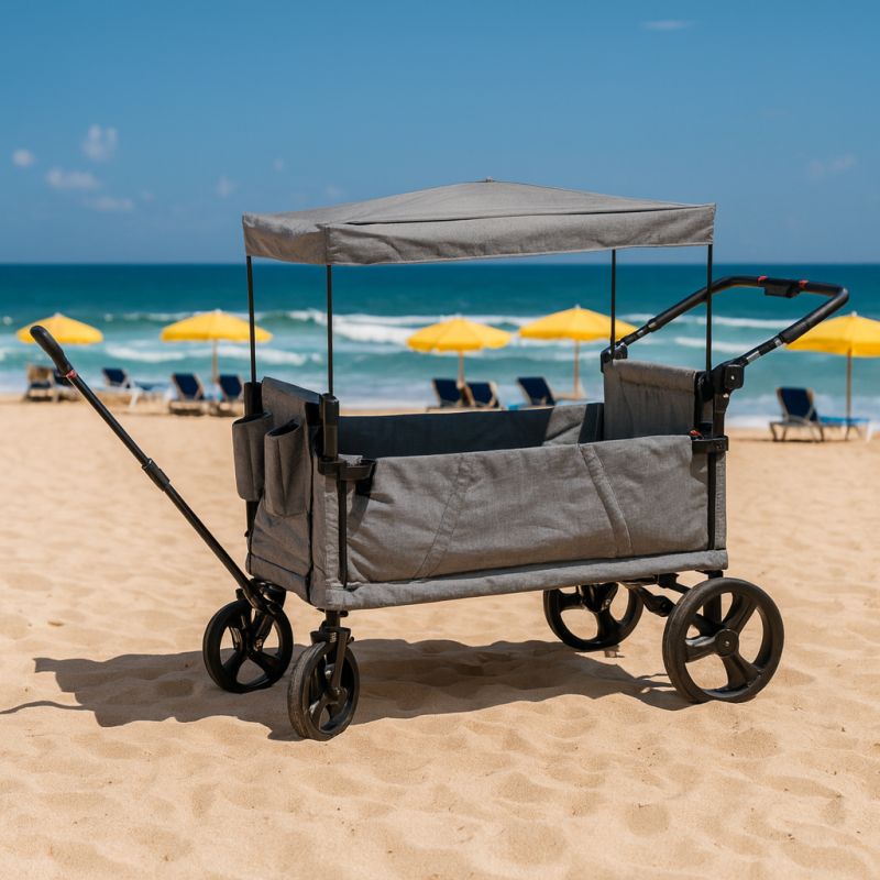 MISTIC - carrello