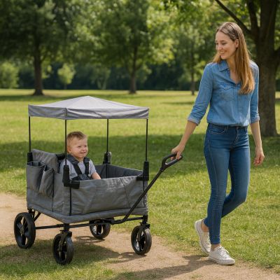 MISTIC - carrello