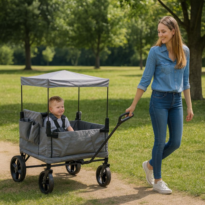 MISTIC - carrello
