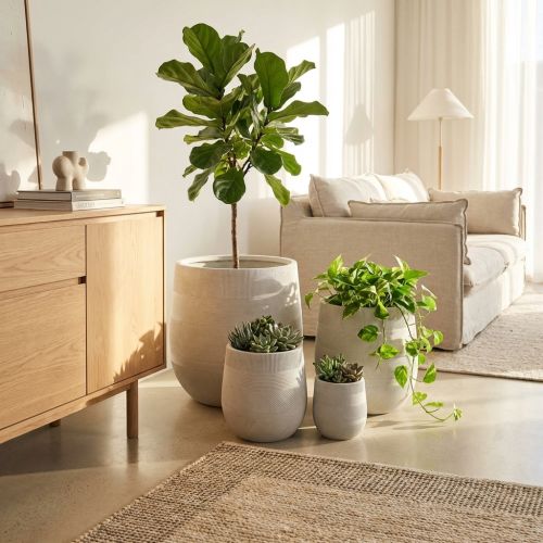 NARCISO - set vasi