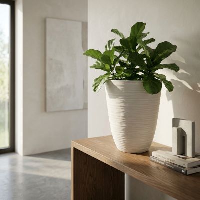 ANA - vaso medio
