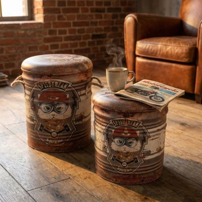 THEODORE - set di 2 pouf contenitore tondo poggiapiedi